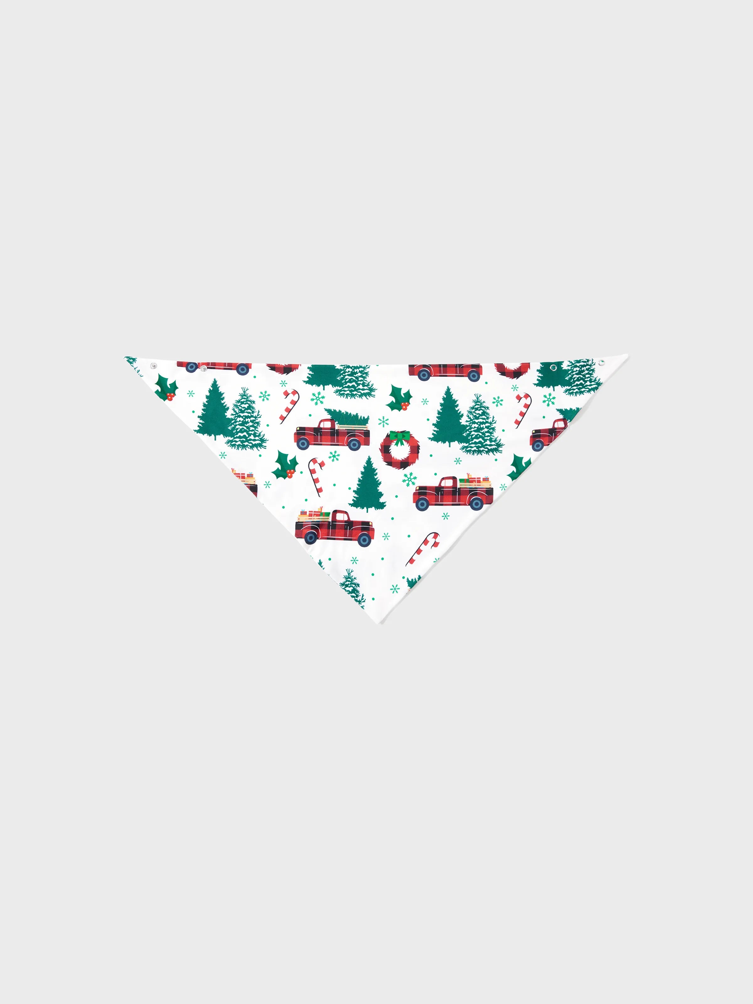 White Christmas Matching Family Pjs Sets