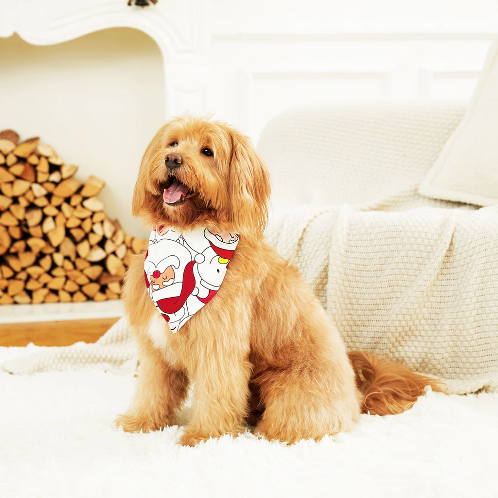 Santa Family Matching Long-sleeve Pjs Sets